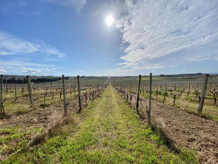 frascati-tour-in-e-bike-with-wine-tasting