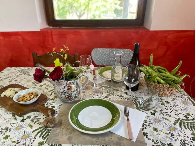Frascati: Vineyard Wine Tasting Tour with Snacks - Arriving and Meeting Your Guide