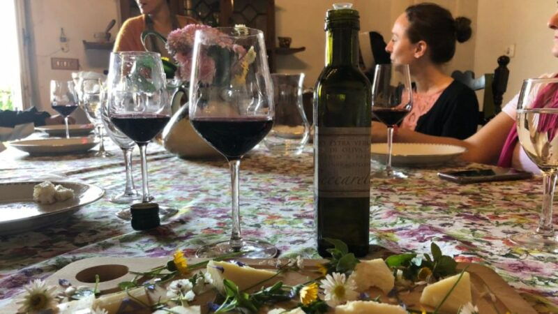 frascati-wine-road-from-rome-tasting-lunch