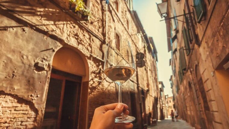 frascati-wine-road-from-rome-tasting-lunch