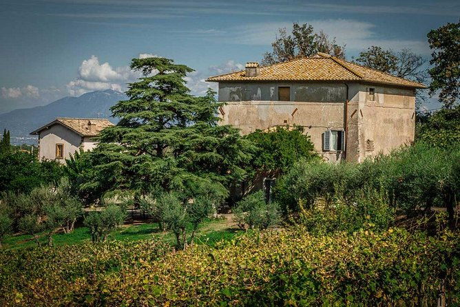 frascati-wine-tasting-tour-the-flavors-of-the-roman-countryside