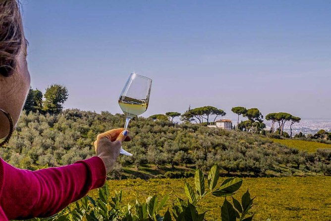 frascati-wine-tasting-tour-the-flavors-of-the-roman-countryside