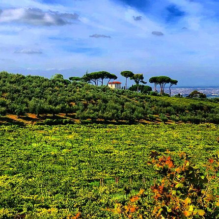 frascati-wine-tasting-tour-the-flavors-of-the-roman-countryside