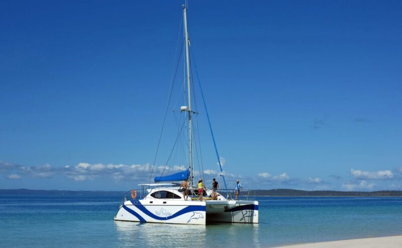 Fraser Island 4-Hour Eco-Sailing Adventure - Cost & Value: Is It Worth It?