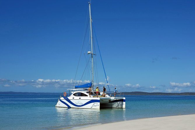 Fraser Island & Dolphin Sailing Adventure - Practical Details and Tips