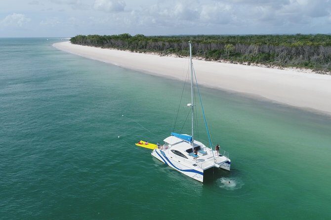 Fraser Island & Dolphin Sailing Adventure - The Sum Up: Who Is This Tour Perfect For?