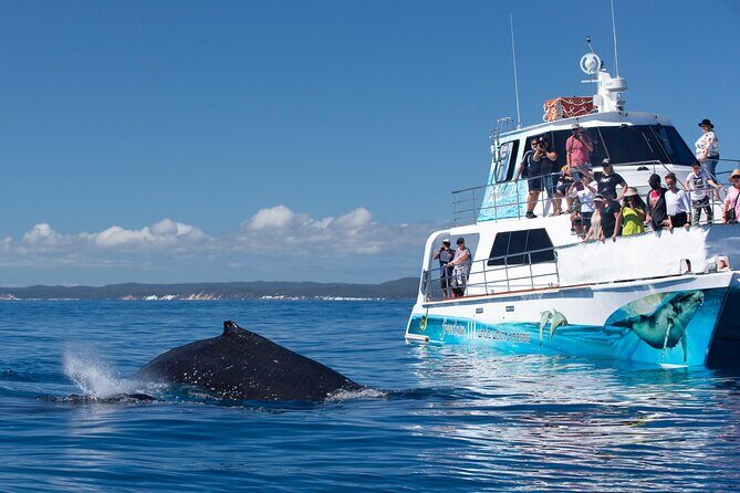 Fraser Island & Dolphin Sailing Adventure - FAQ