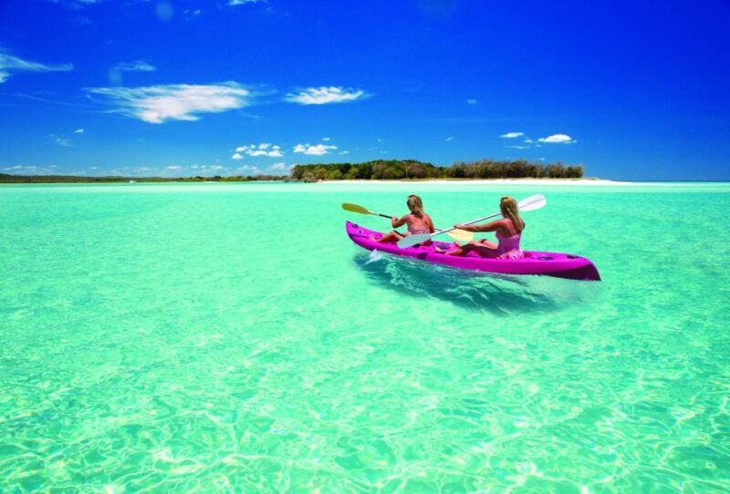 Fraser Island (K'gari): Remote Island and Whale Experience - Key Points