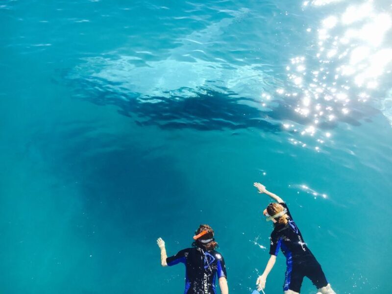 Fraser Island (K'gari): Remote Island and Whale Experience - Why You Should Consider This Tour