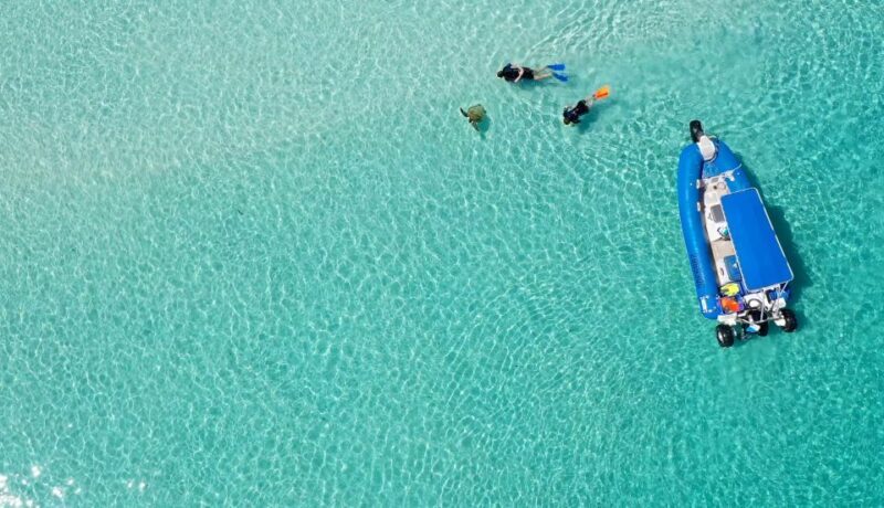 Fraser Island (K'gari): Remote Island and Whale Experience - FAQs