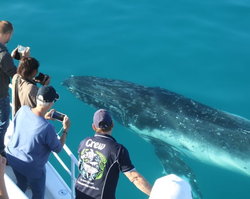 Fraser Island (K'gari): Remote Island and Whale Experience - Final Thoughts