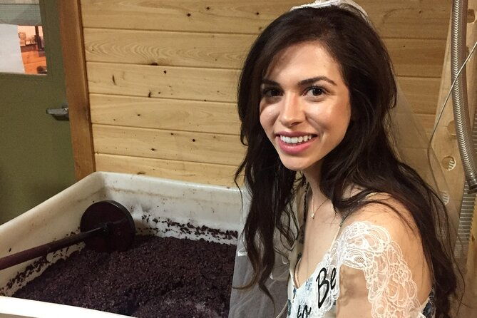fredericksburg-hill-country-aficionado-wine-tour-from-san-antonio