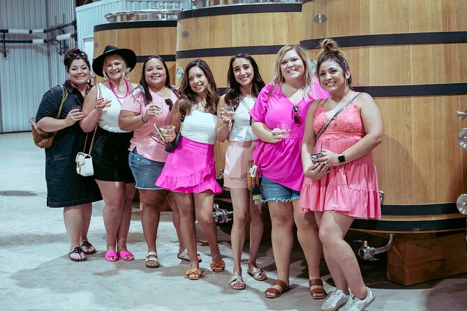fredericksburg-private-wine-tour-volkswagen-limo