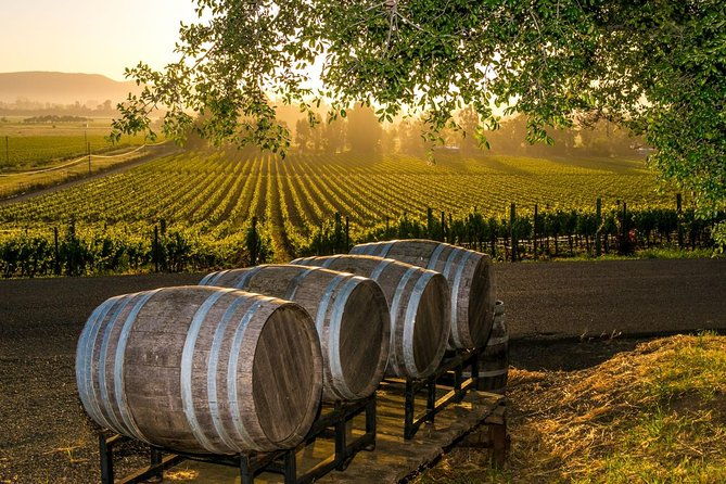 fredericksburg-wine-tour-with-three-winery-stops-plus-lunch