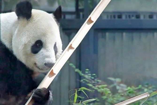 free-choice-of-itineraries-tokyo-private-tour