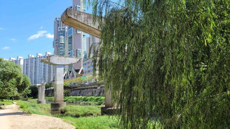 free-day-in-private-seoul-with-english-speaking-guide