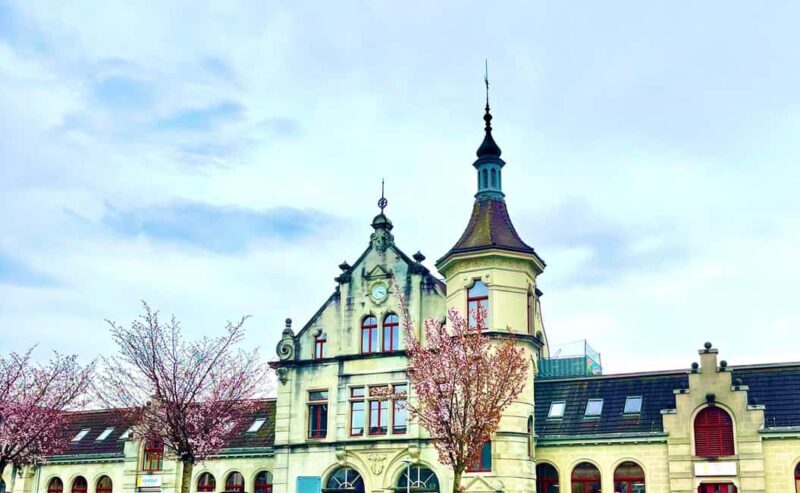 FREE PHOTO near Zurich Rapperswil: Castle, Rose Old Town - Authentic Insights from Past Travelers