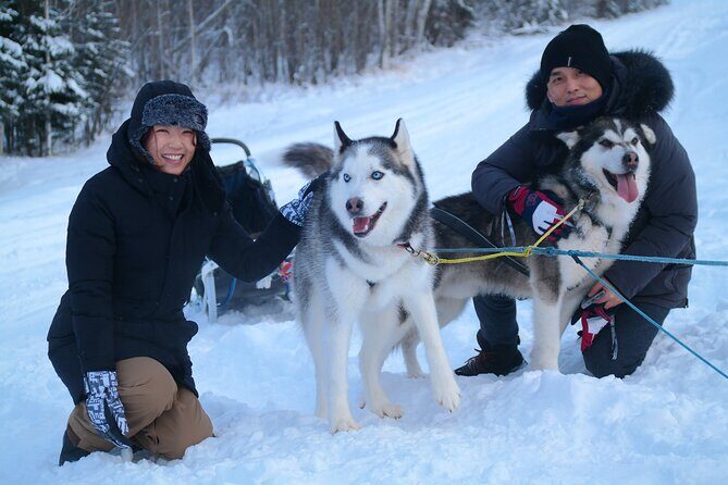 Free Pickup/Drop off: Alaskan Husky Dog Sledding with Free Photo - The Itinerary: What to Expect from Start to Finish