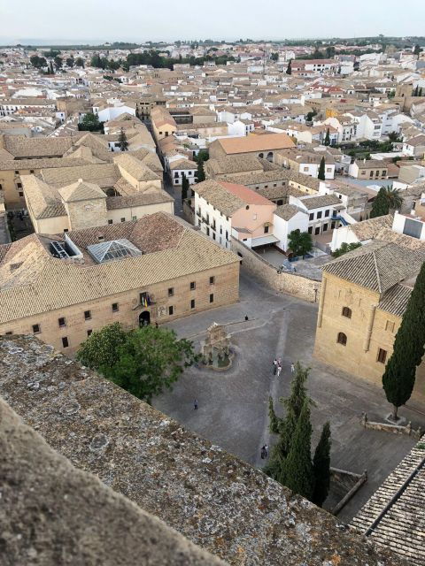 free-tour-baeza