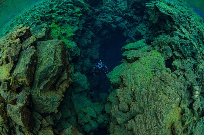 freedive-silfra-half-day-tour