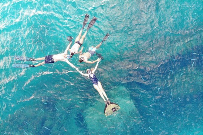 freediving-one-day-course