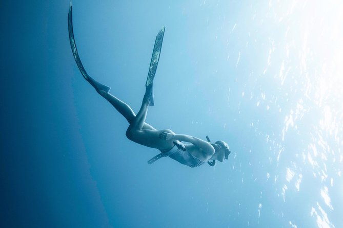 freediving-one-day-course