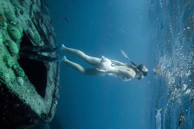 freediving-one-day-course