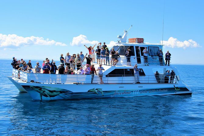 Freedom 3/4 Day Hervey Bay Premium Whale Watching Cruise - Setting the Scene: What to Expect on the Tour