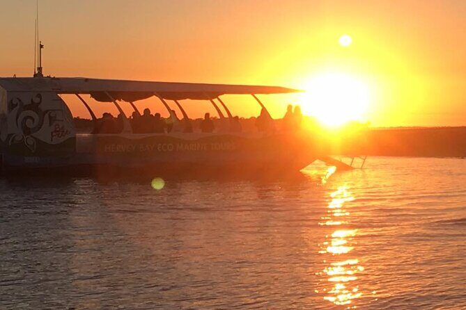 Freedom 3/4 Day Hervey Bay Premium Whale Watching Cruise - FAQ