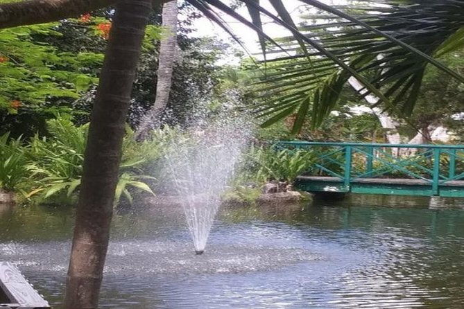 freeport-shore-excursion-garden-of-the-groves-and-city-tour