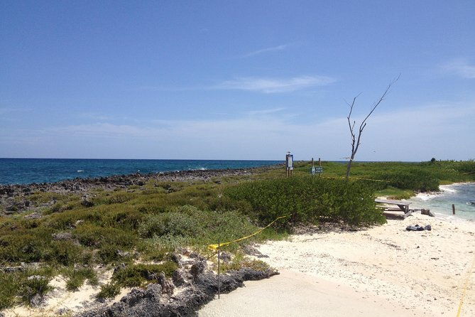 freeport-snorkeling-peterson-cay-national-park-and-hotel-day-pass