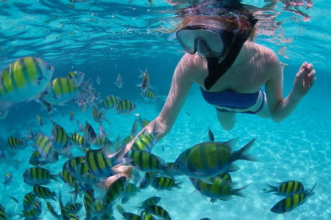 freeport-snorkeling-peterson-cay-national-park-and-hotel-day-pass