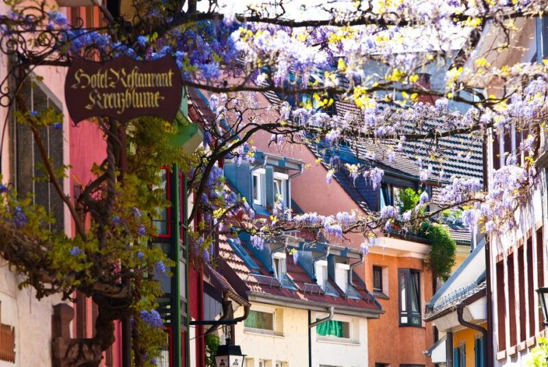 freiburg-alleys-streams-and-more-city-tour