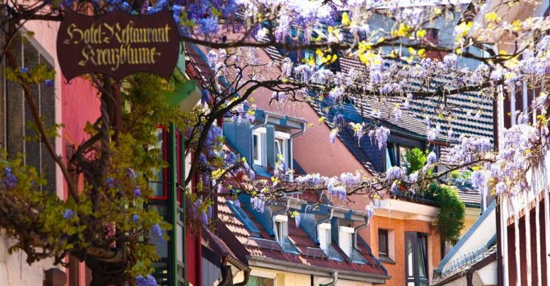 freiburg-alleys-streams-and-more-city-tour