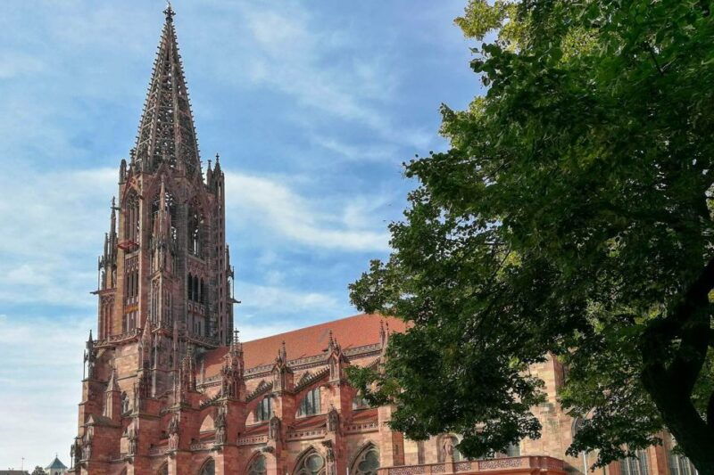 freiburg-alleys-streams-and-more-city-tour