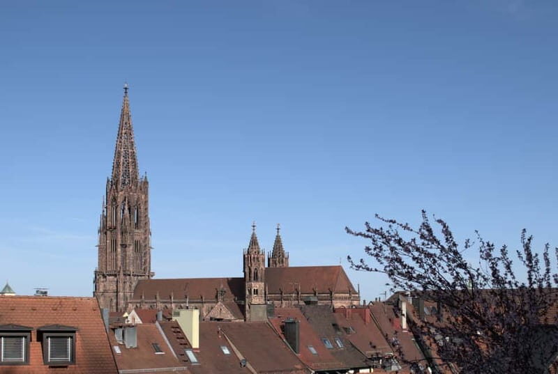 Freiburg City Tour: with visit of the Freiburg Minster - Final Thoughts: Is It Worth It?