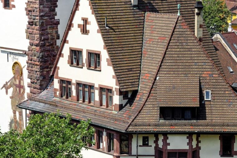 freiburg-express-walk-with-a-local-in-60-minutes