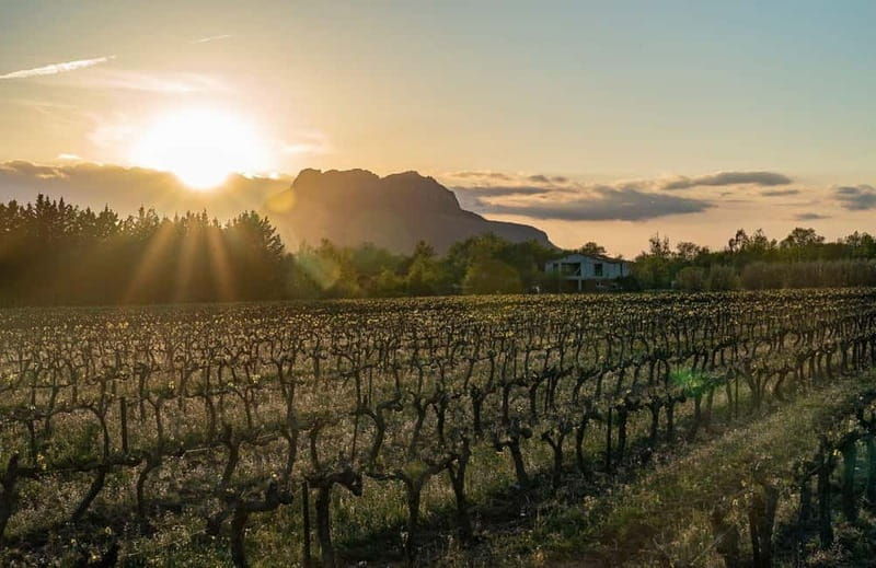 Fréjus: Cave tour and wine tasting - Practical Details & Tips