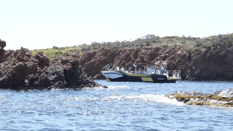 frejus-sea-and-creeks-boat-tour-with-snorkeling-and-drinks