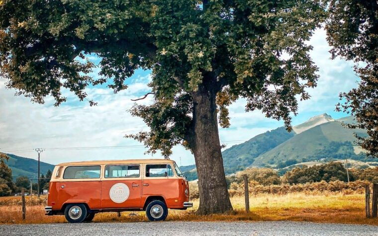 french-basque-country-farms-food-tour