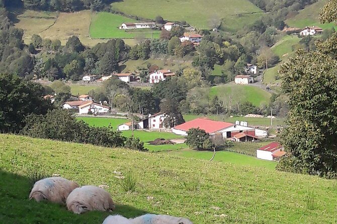 French-Basque Countryside Private tour Discover the hidden beauty of Pyrenees - The Sum Up
