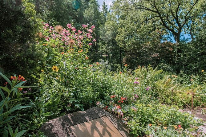 french-bicycle-tour-of-central-park-cinema