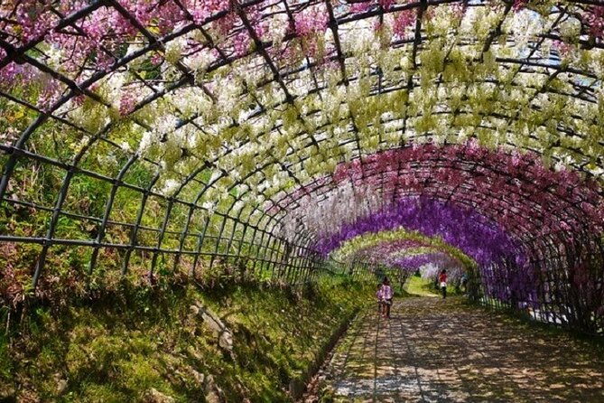 french-dining-at-matsumoto-residence-and-kawachi-wisteria-yokabus