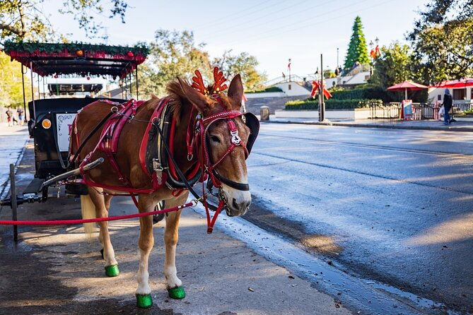 french-quarter-highlights-self-guided-walking-tour-of-new-orleans