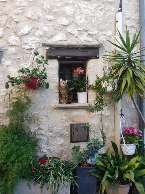 French Riviera Full Day Tour - An In-Depth Look at What This Tour Offers