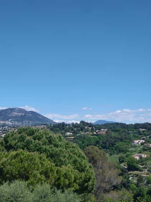 French Riviera Full Day Tour - Transport, Timing, and Group Experience