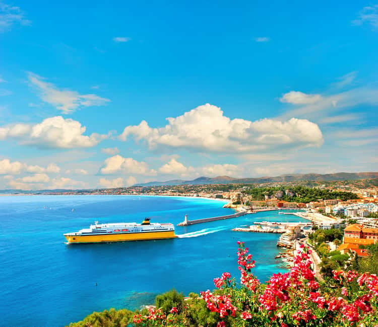 French Riviera: Half-Day Private Tour and Transfer - French Riviera: Half-Day Private Tour and Transfer – A Detailed Review