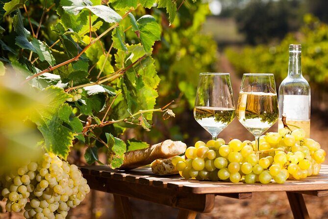 French Riviera, Wine tasting, Provencal market and Countryside - Authenticity and Real Traveler Insights