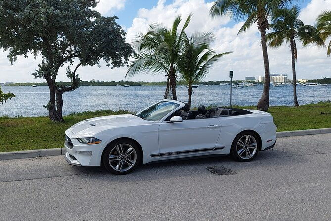 french-tour-of-miami-in-convertible-mustang