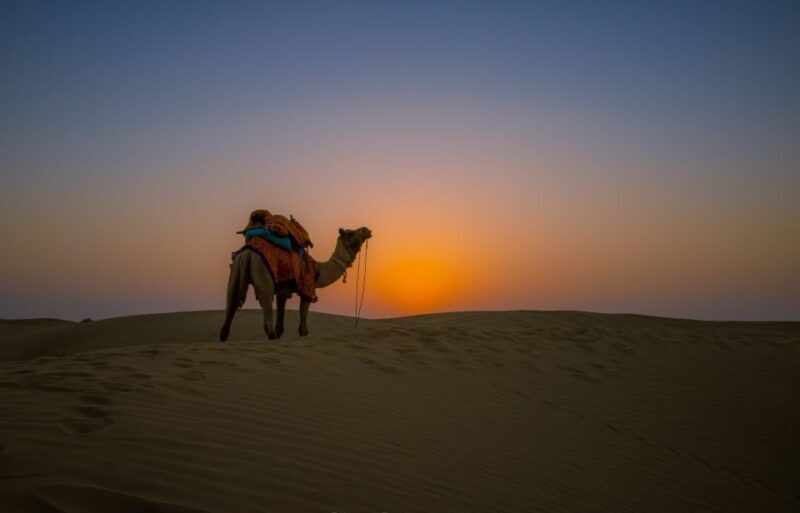 Frenzy Paradise Overnight Thar Desert Camping Tour - Analyzing the Value: Is It Worth It?